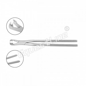 Extractors Forceps P (Four roots) 